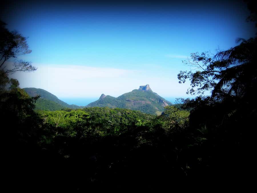 Tijuca Forest´s hike: caves, waterfalls and great views - What the guide adds