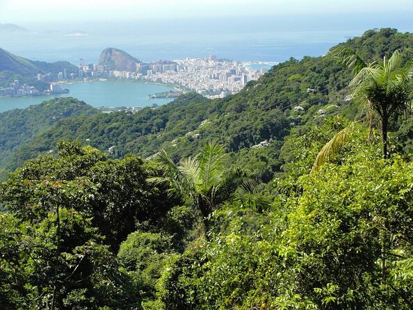 Tijuca National Park and all its wonders - Key points at a glance