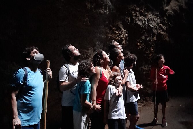 Tijuca National Park and all its wonders - Smaller waterfalls and time for a swim
