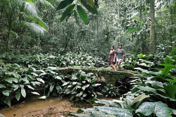 Tijuca National Park and all its wonders - Caves, rock climbers, and smaller surprises