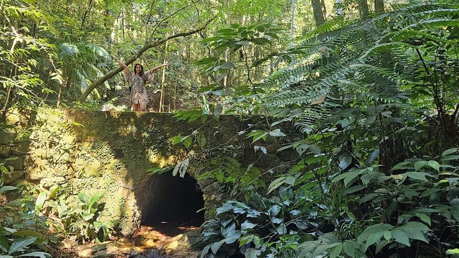 Tijuca National Park and all its wonders! - What to pack for the forest
