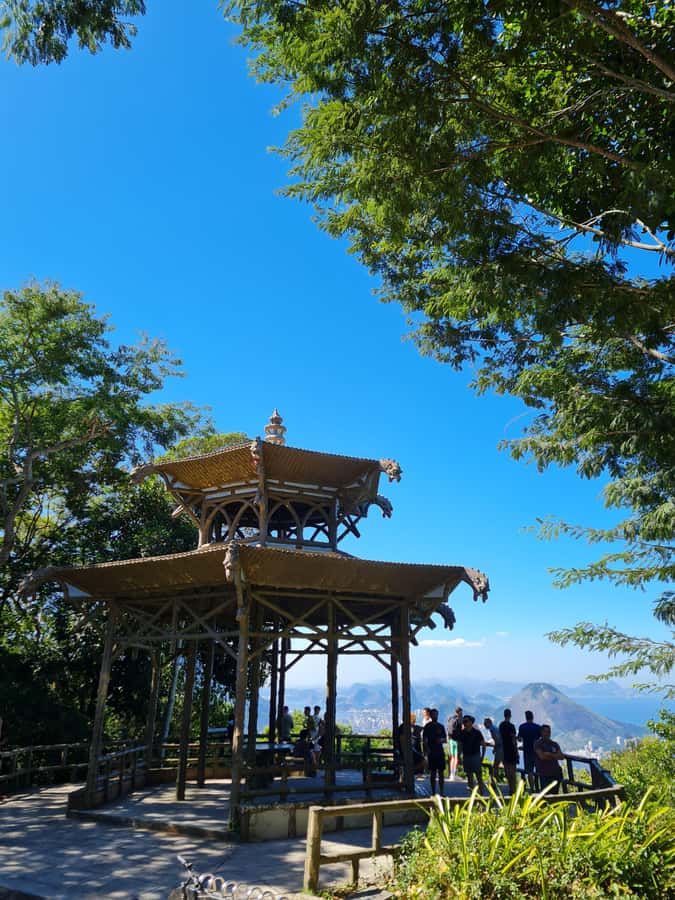 Tijuca Rain Forest - Adventure through Waterfalls & Caves - Taunay Waterfall brings scale to the forest