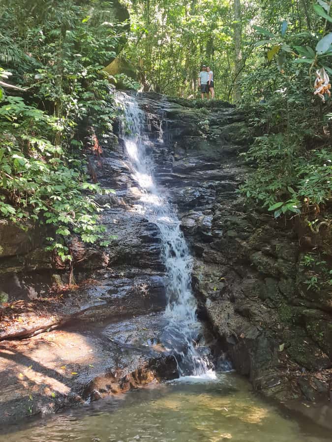 Tijuca Rain Forest - Adventure through Waterfalls & Caves - What the guide adds to the experience