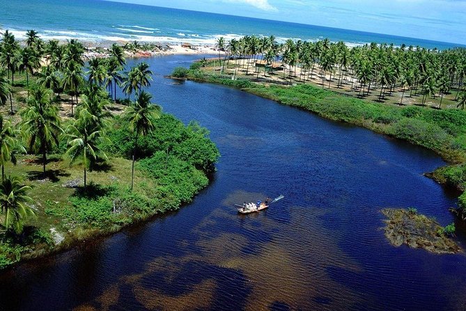 Tour in Itacimirim and Imbassaí - The Wonders of the Coast - Key points to know before you book