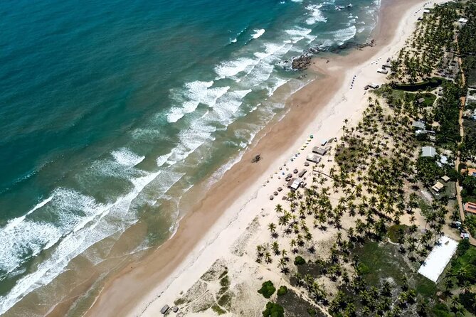 Tour in Itacimirim and Imbassaí - The Wonders of the Coast - Why this north coast day works well from Salvador