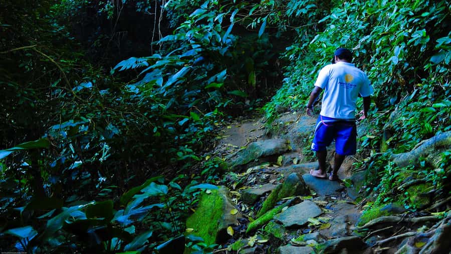Trindade Day Trip: Nature and Sea Adventure from Paraty - Key points at a glance