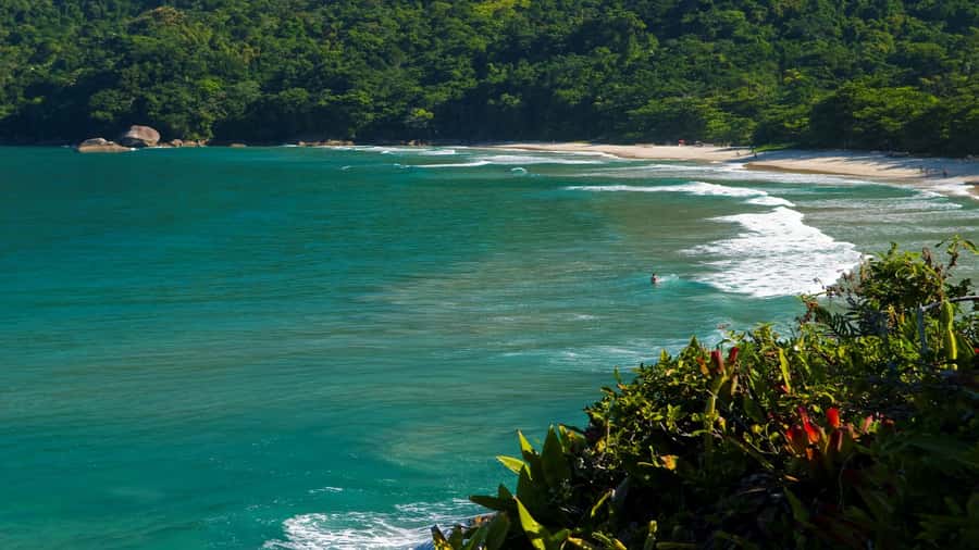 Trindade Day Trip: Nature and Sea Adventure from Paraty - What the guide adds to the day