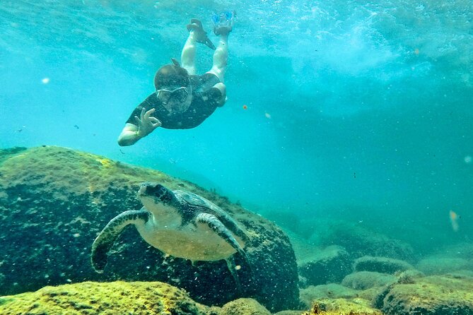 Turtle Snorkeling by Adrenailha - Why Xavier Island Makes This Trip Special