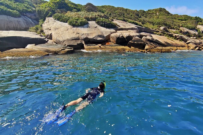 Turtle Snorkeling by Adrenailha - What You Wear and Use in the Water