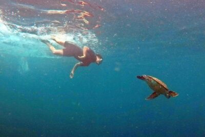 Turtle Snorkeling by Adrenailha