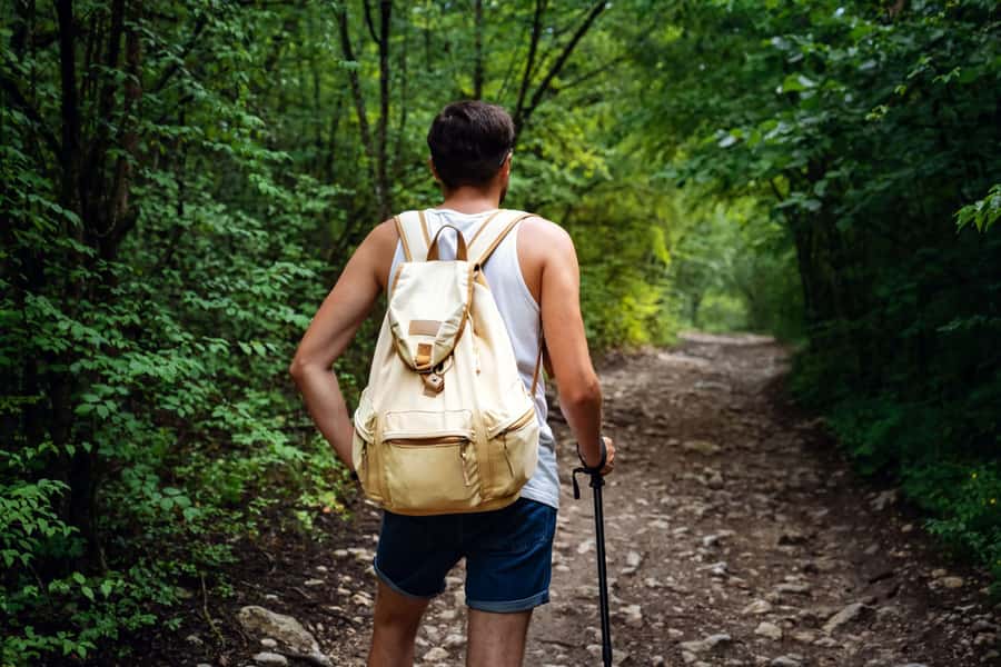 Walk to the Big Rock in Cantareira State Park - A two-hour climb through Serra da Cantareira