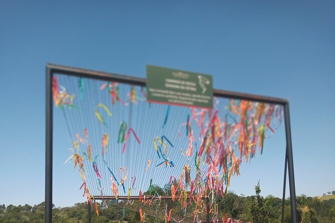 Wine Tour in São Roque by Car, Tour with Local Guides - Why a private São Roque wine day works well